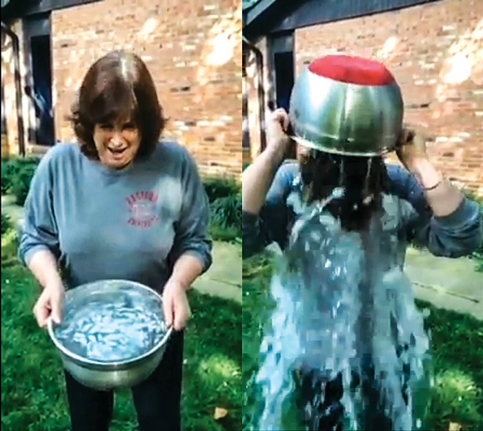 Als Money Raised from Ice Bucket: Unbelievable Impact & Growth 17 als money raised from ice bucket
