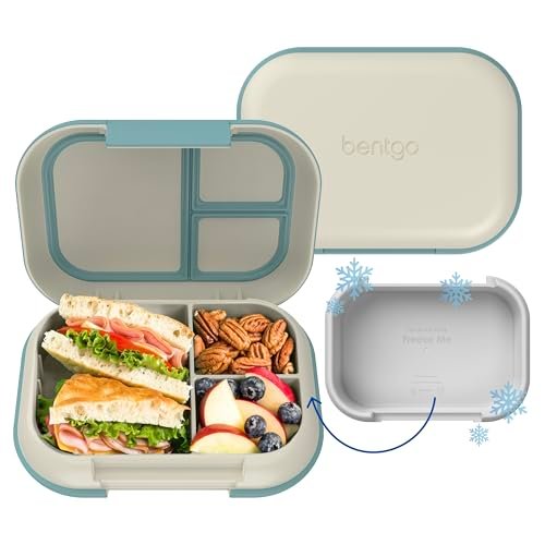Best Lunch Boxes That Stay Cold for Fresh, Leak-Proof Meals 15 best lunch boxes that stay cold