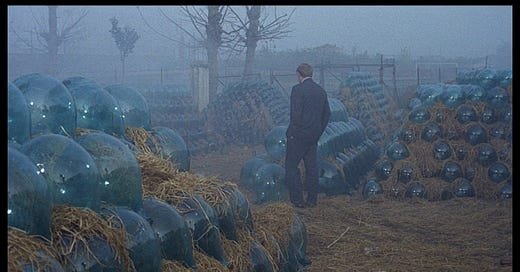 Corrado'S Wine & Beer Making: Ultimate Guide to Crafting Excellence 15 corrados wine beer making