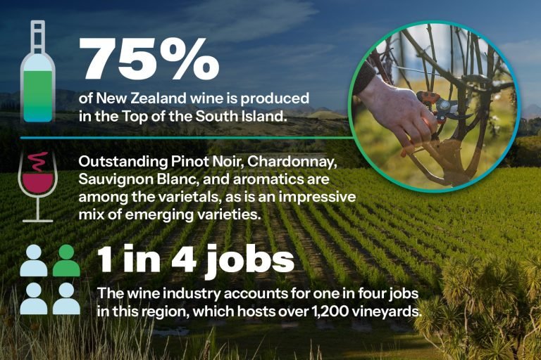 Degree in Wine Making: Unlock Your Path to Wine Mastery 13 degree in wine making