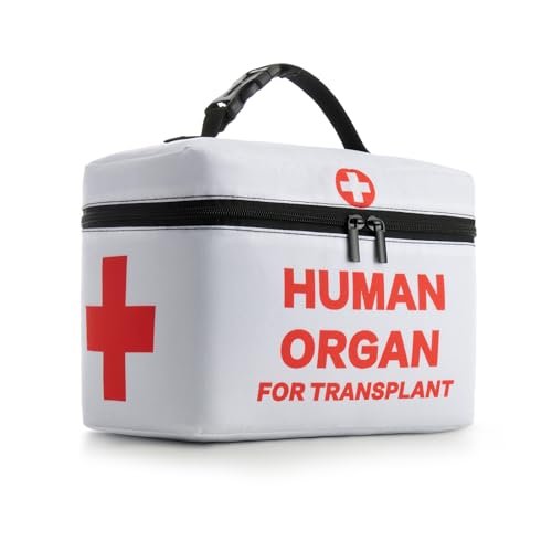 Does Box Lunch Have Labubu Lunch Bags Available for Purchase? 3 does box lunch have labubu