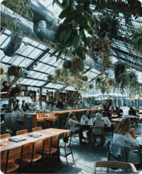 Drarien Goose Outdoor Dining: Ultimate Guide to Stylish Alfresco Meals 7 drarien goose outdoor dining