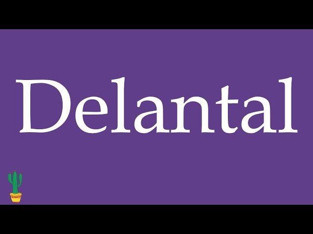 How Do You Say Apron in Spanish: Essential Tips for Learners 1 how do you say apron in spanish