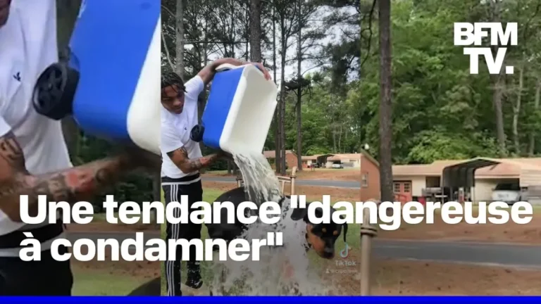 Ice Bucket Challenge Qu'Est-Ce Que C'Est : Découvrez Tout Maintenant! 7 ice bucket challenge quest ce que cest