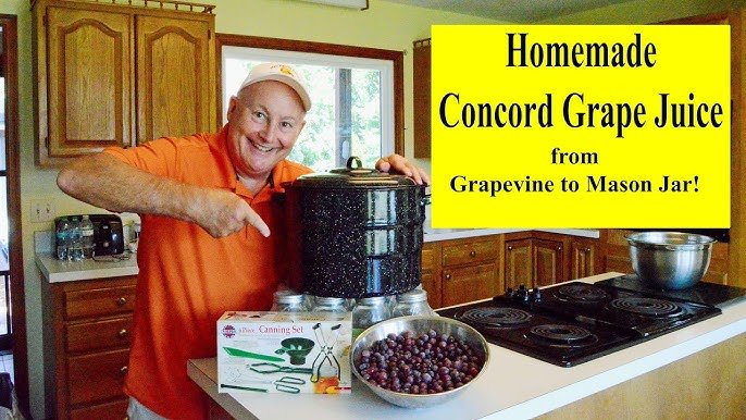 Making Concord Grape Wine: Easy Steps for Rich, Flavorful Results 5 making concord grape wine