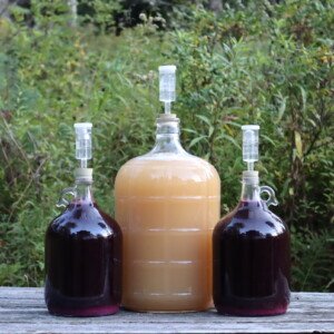Making Wine from Wine Juice: Easy Steps for Perfect Homemade Wine 19 making wine from wine juice
