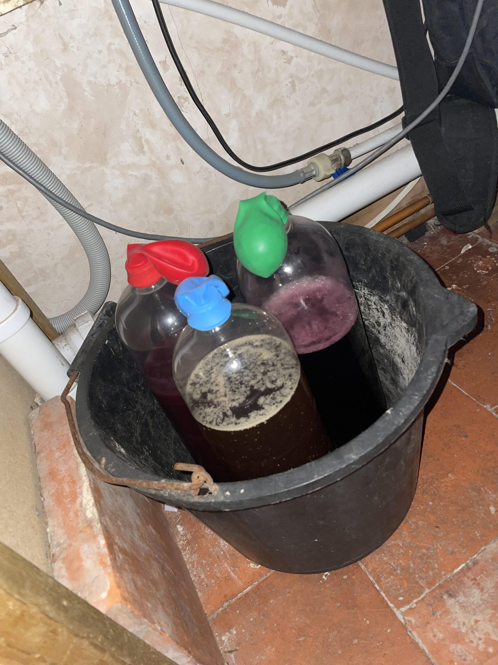 making wine in a bucket scaled