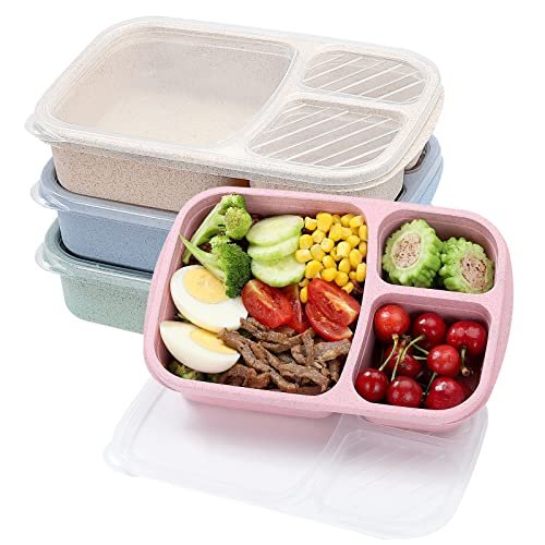 Plastic Containers for Lunch Boxes: Top Picks for Meal Prep and Storage 9 plastic containers for lunch