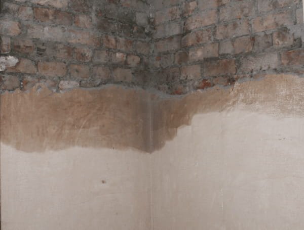 Why are My Kitchen Walls Wet: Causes, Risks & Quick Fixes 7 why are my kitchen walls wet
