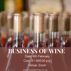 Wine Making Classes Online: Master Winemaking from Home Easily 17 wine making classes online