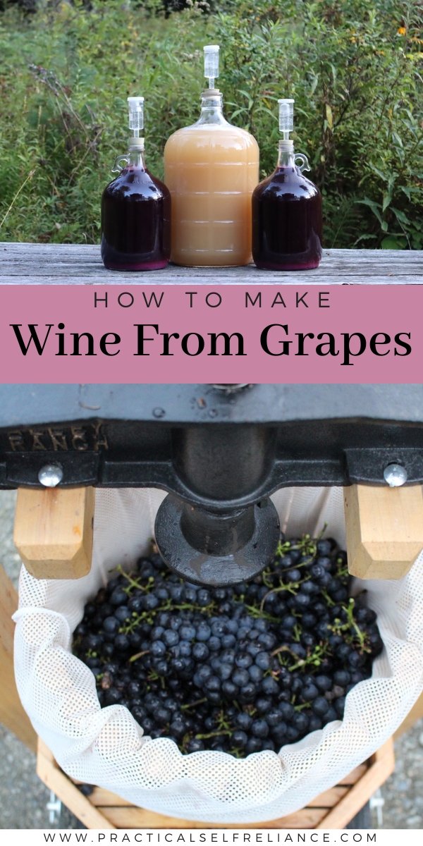 Wine Making from Grapes at Home: Ultimate Guide for Beginners 7 wine making from grapes at home