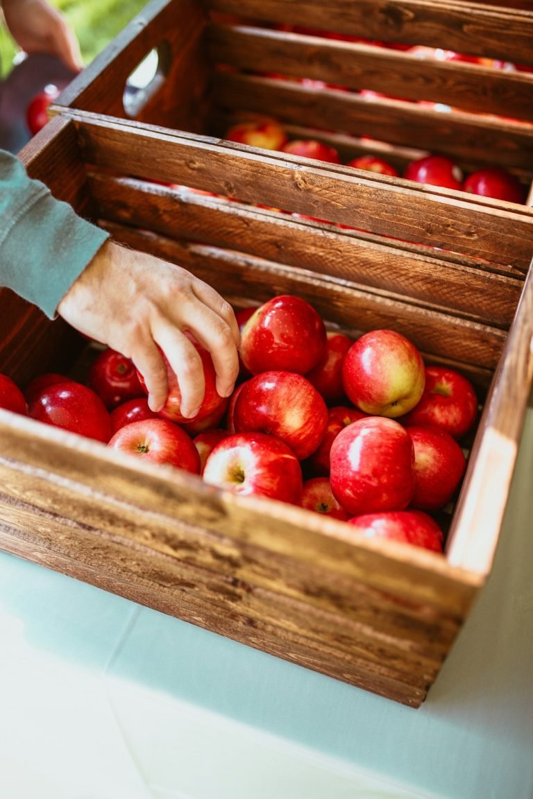 How to Keep Apples from Turning Brown in Lunch Box: Easy Tips 11 How to Keep Apples from Turning Brown in Lunch Box Easy Tips