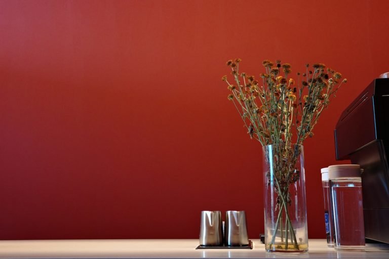 Red Kitchen Walls What Color Cabinets: Stunning Color Combos 9 Best cabinet colors to pair with red kitchen walls