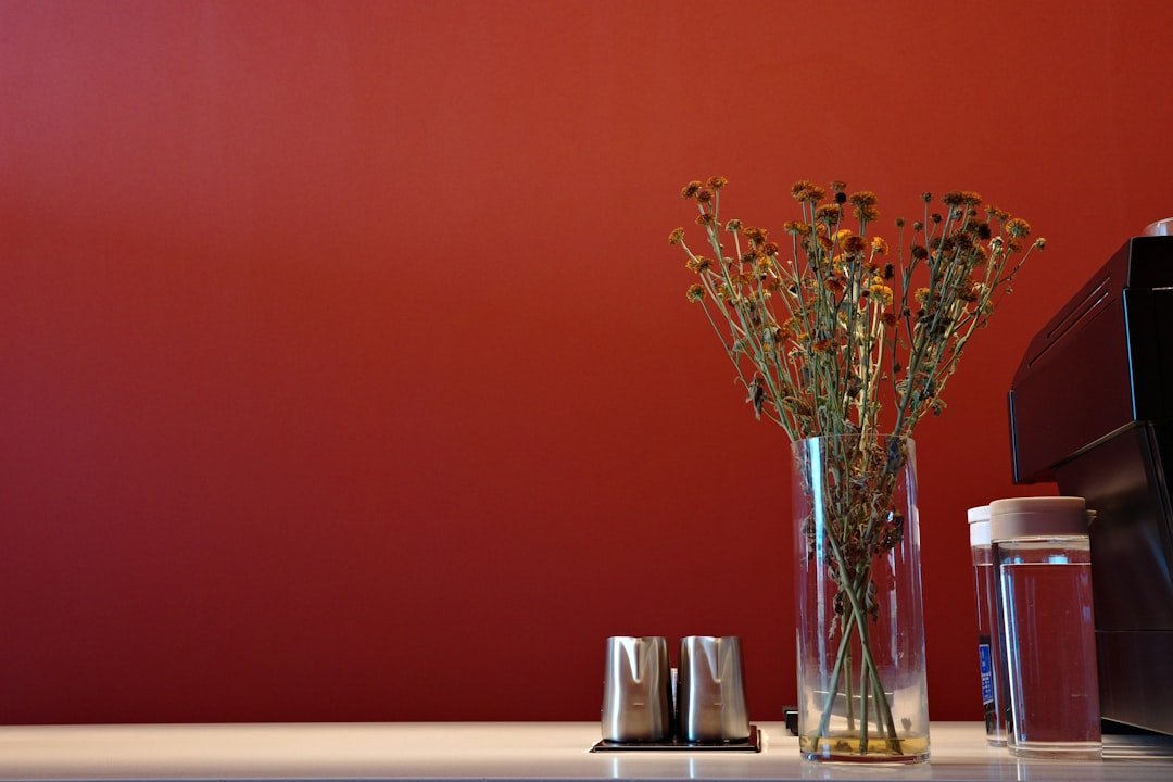 Best cabinet colors to pair with red kitchen walls