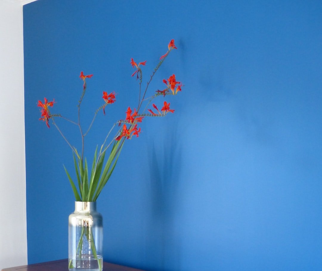 Which Paint for Kitchen Walls Expert Tips for a Stunning Look