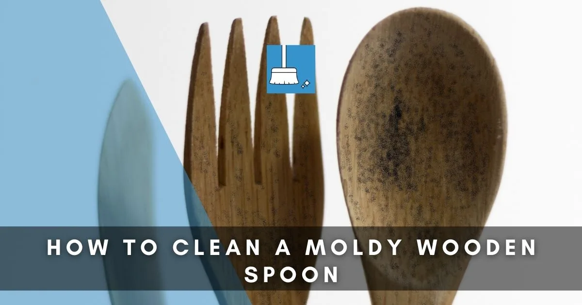 moldy wooden spoon vs clean spoon comparison