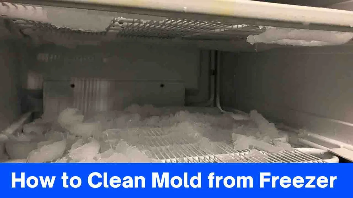 post-trip cooler deep clean